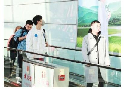 马天宇表白王菲 王菲绿发LOOK让马天宇想到星巴克女人