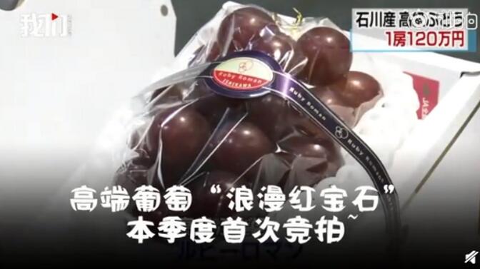 贫穷限制了我的想象！一串葡萄7.6万到底什么高端品种？每一粒3200元 