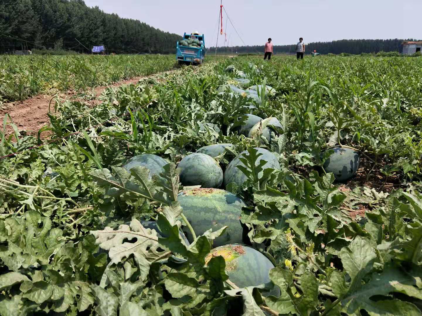 百名青年记者走基层