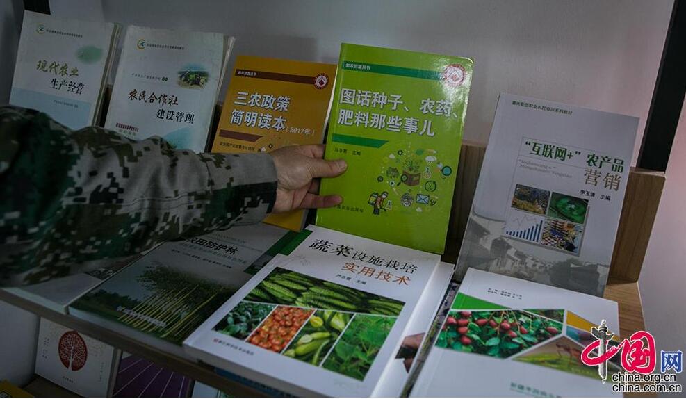 【边疆党旗红】从打工妹到十九大党代表 川妹子扎根兵团带头致富