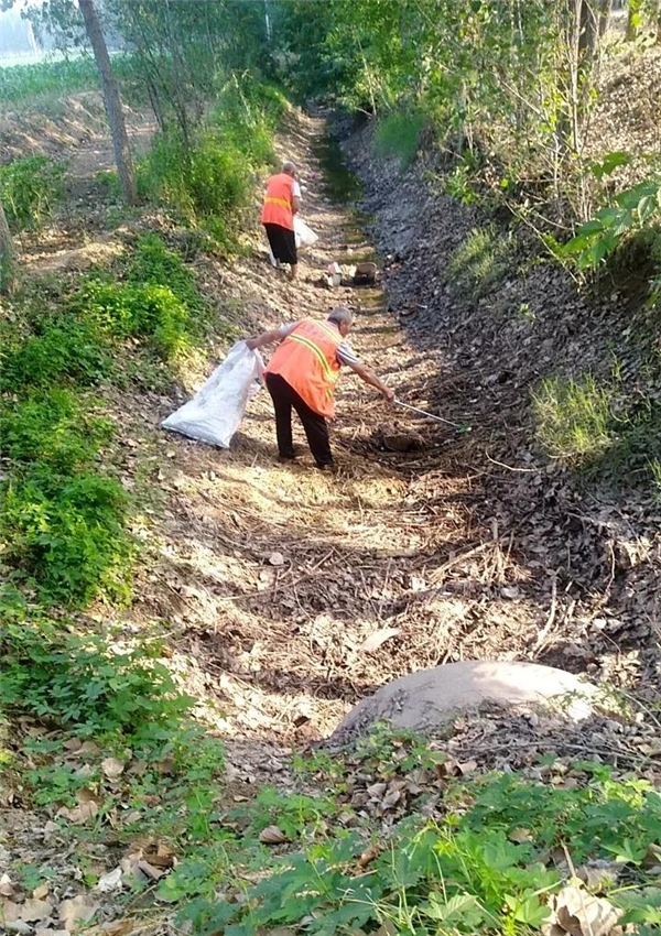 玉皇庙镇召开村容村貌暨人居环境整治大会