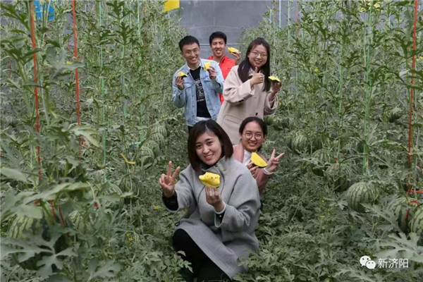 济阳农业迎来大发展！将建4处万亩和7处千亩蔬菜示范区