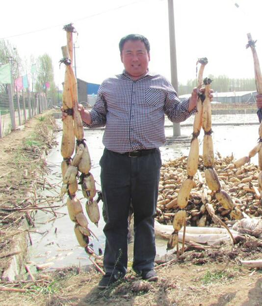 [温暖泉城] 有了“领头雁” 乡村换新颜