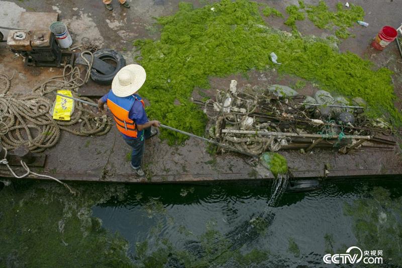 【我爱这片蓝色的国土】山东日照：退港还海打好“生态”牌 黑煤场变身金沙滩