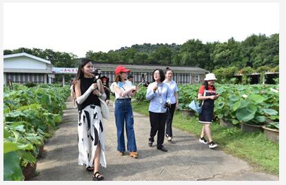 【看长江之变】还路于民 还湖于民 武汉东湖打造最美城市 “生态绿心”