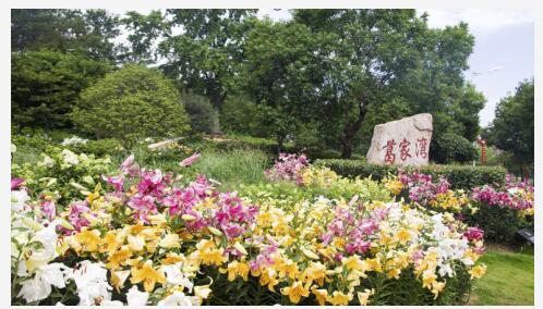 【看长江之变】40个贫困户脱贫 武汉黄陂杜堂村美了，村民富了！