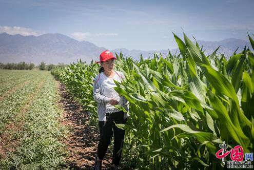 【边疆党旗红】从打工妹到十九大党代表 川妹子扎根兵团带头致富