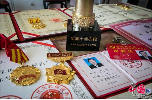 【边疆党旗红】从打工妹到十九大党代表 川妹子扎根兵团带头致富