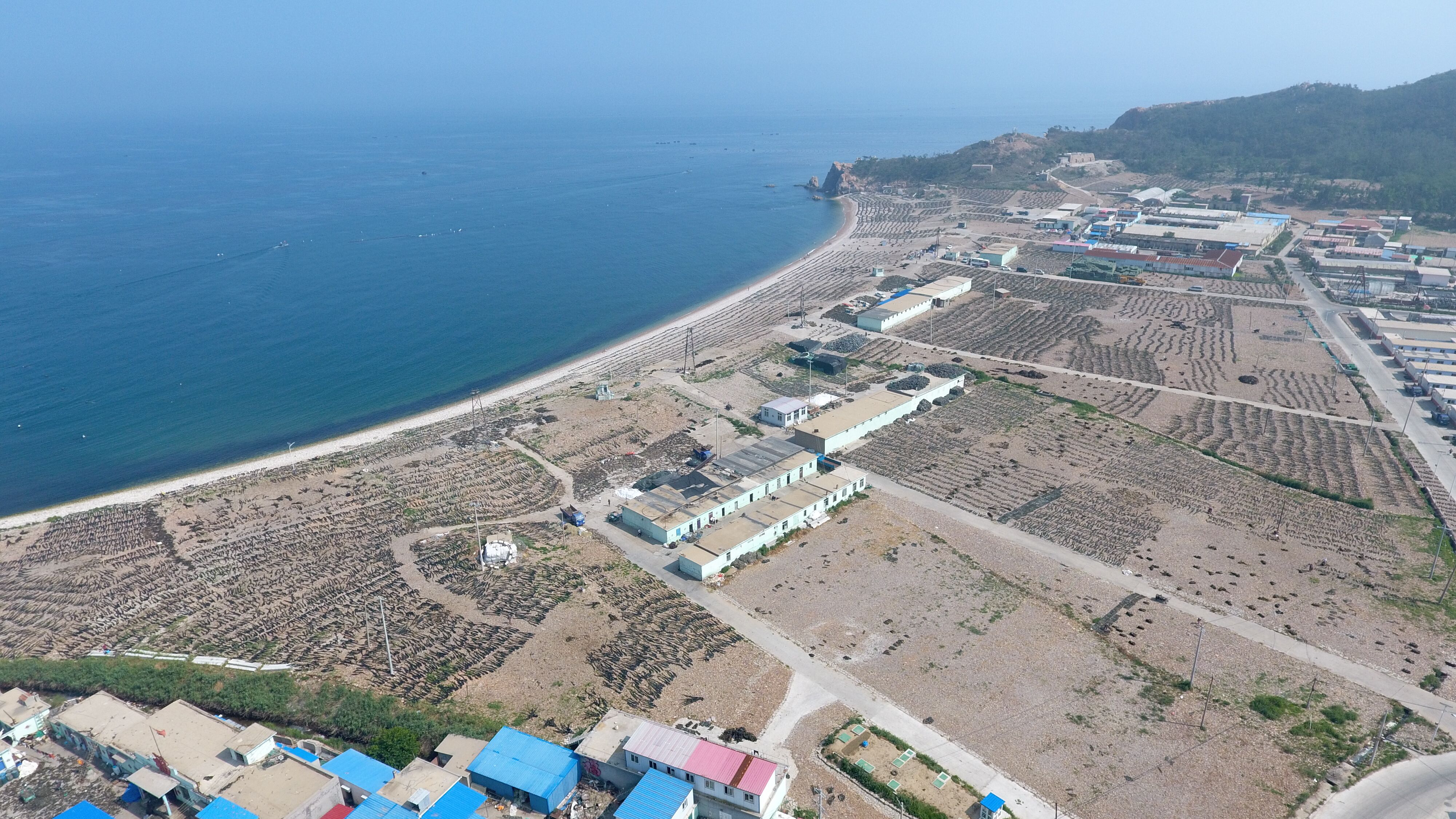 【我爱这片蓝色的国土】渤海深处探仙岛!听长岛渔民讲“海带致富经”