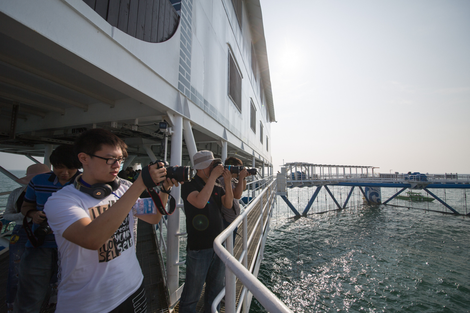 【我爱这片蓝色的国土】渤海深处“造田”4人1年养鱼千吨!这座海洋牧场创两个世界第一