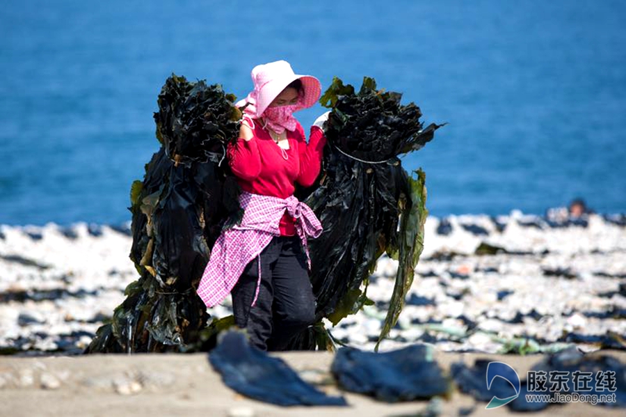 tim图片20190719080705