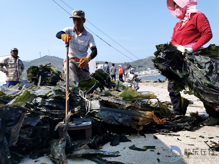 tim图片20190719080715