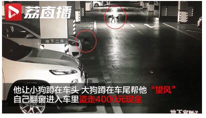 真相哭笑不得!车库偷钱让狗望风什么情况?详情经过还原,原来是这样!