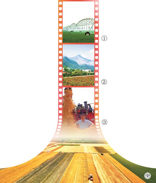 “中原粮仓”的贡献