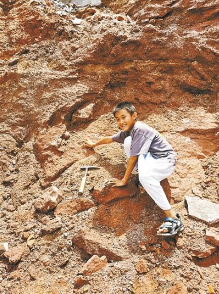 9岁小学生发现6600万年前恐龙蛋