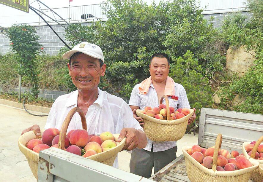 百名青年记者走基层