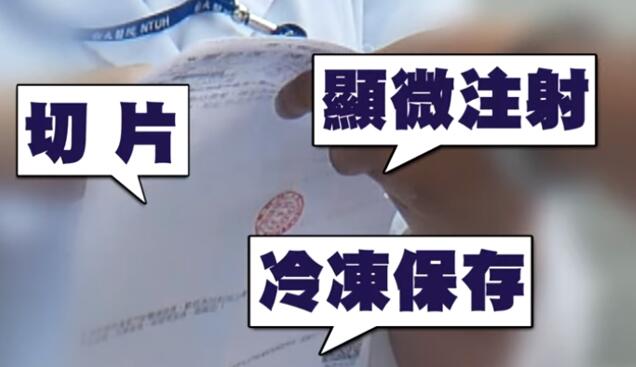 林志玲做试管婴儿医疗单曝光 有望明年升格当妈
