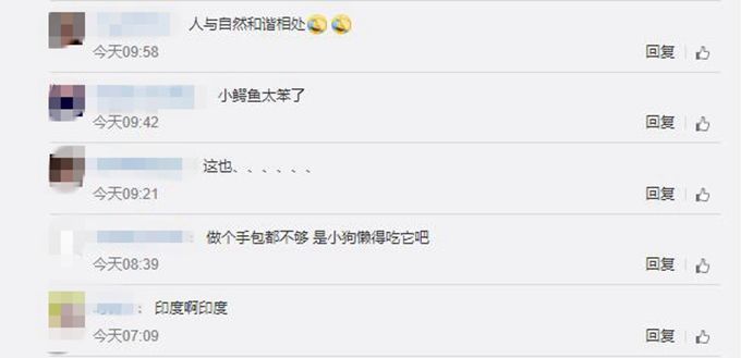 天了噜!印度暴雨惊现鳄鱼 详情始末曝光这迷一样的恐怖画风你们自行感受下