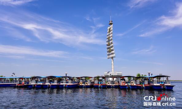 【瓣瓣同心·协同五年谱新篇】 白洋淀荷叶连天犹如画卷一般