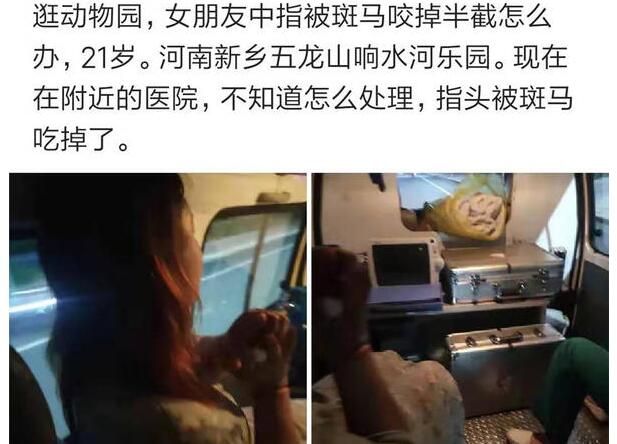 原来不是吃素的！女子被斑马咬掉手指 游乐园内未找到断指