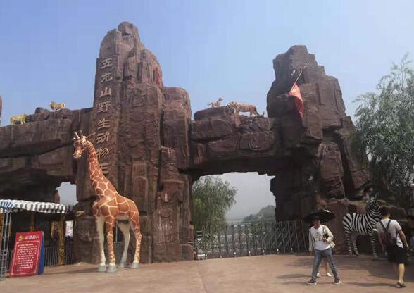 原来不是吃素的！女子被斑马咬掉手指 游乐园内未找到断指