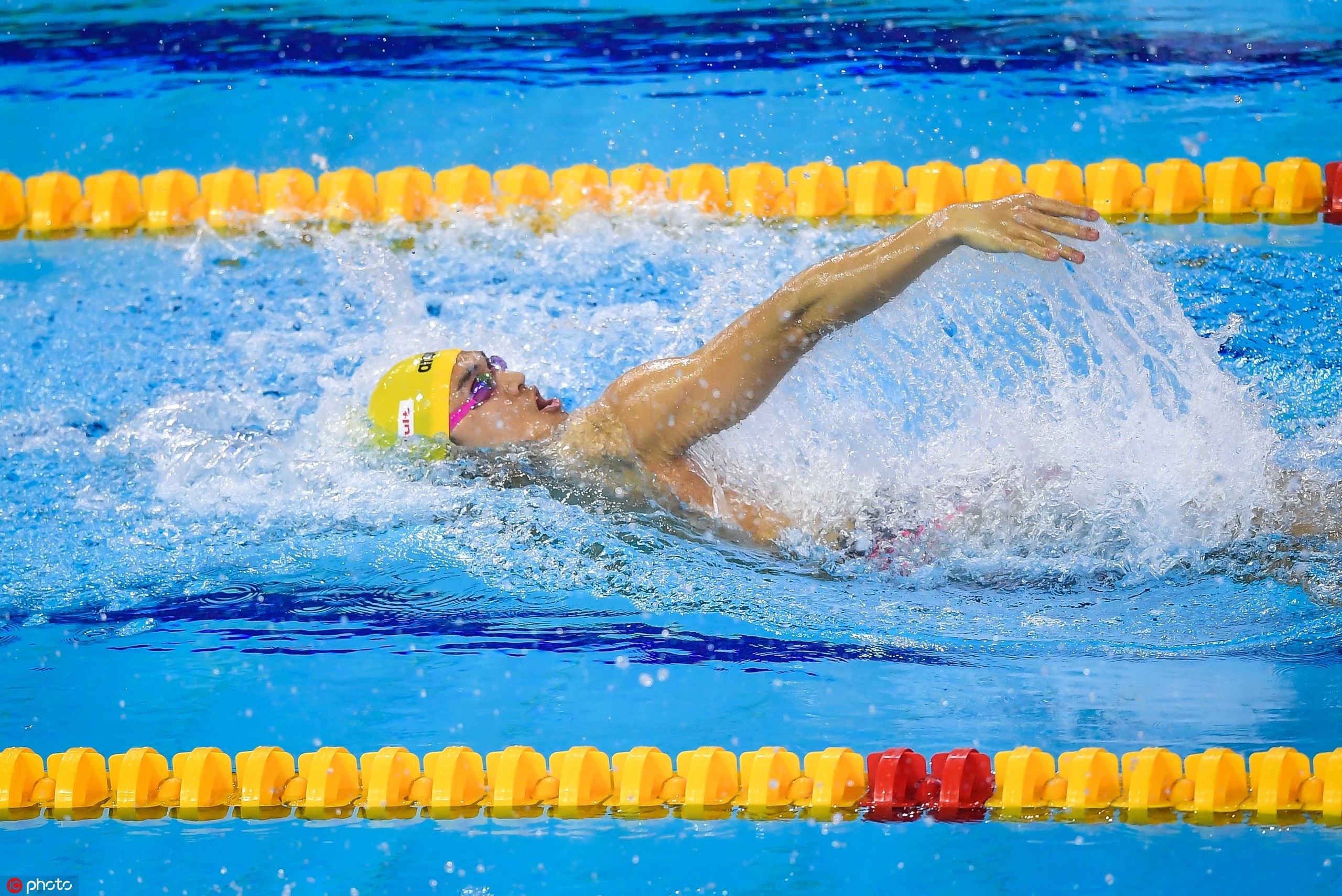 2019年国际泳联游泳世界杯今日奥体开幕