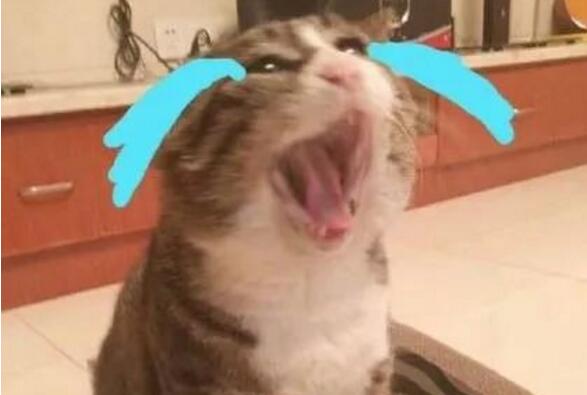 失而复得！演唱会门票丢了,翻了3个小时终于找回 网友无限感激