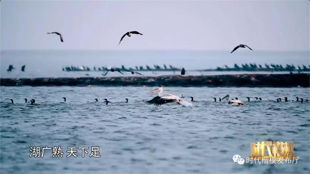 大江流日夜，慷慨歌未央，“洞庭之子”余元君的9000多个治水日夜