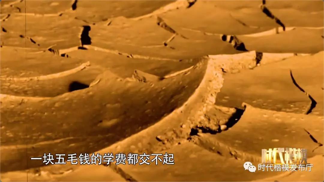 大江流日夜，慷慨歌未央，“洞庭之子”余元君的9000多个治水日夜