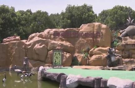 新奇！这个动物园让猛兽保管结婚证 小老虎守护爱情更长久吗？