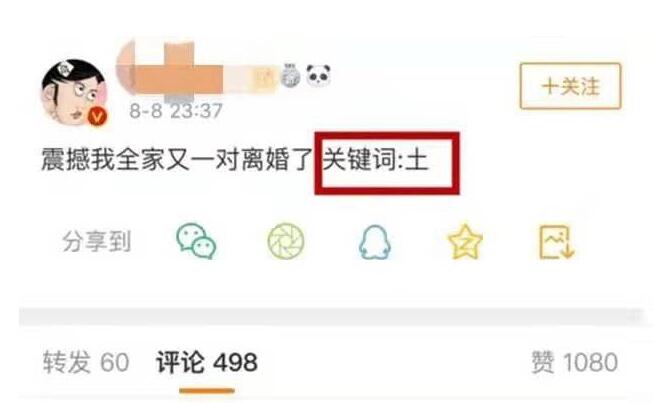 实力打脸!张杰谢娜被传离婚是怎么一回事?越来越多的细节流出