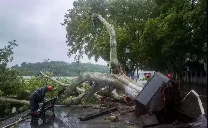 狂风暴雨，感谢有你！