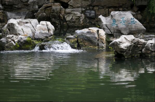 济南趵突泉水位一日飙升28厘米 连续16年持续喷涌成定局