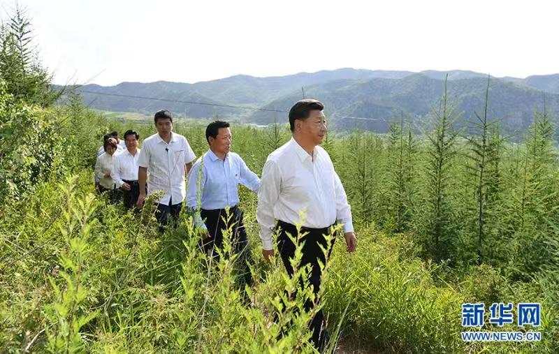 习近平叮嘱这件事:决不能有停一停歇一歇的想法