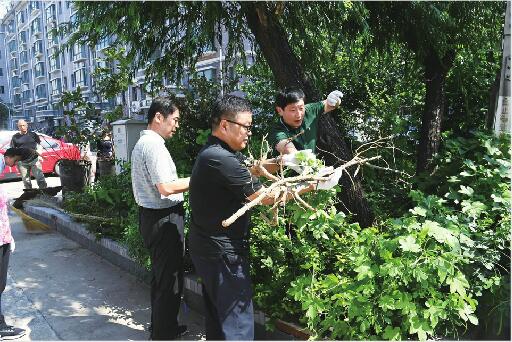 天桥区全力以赴推进国家卫生城市迎审工作