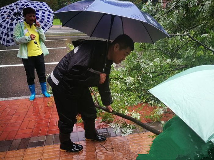 姚家街道12345热线受理跑出“加速度” 日均办结热线事项100余件
