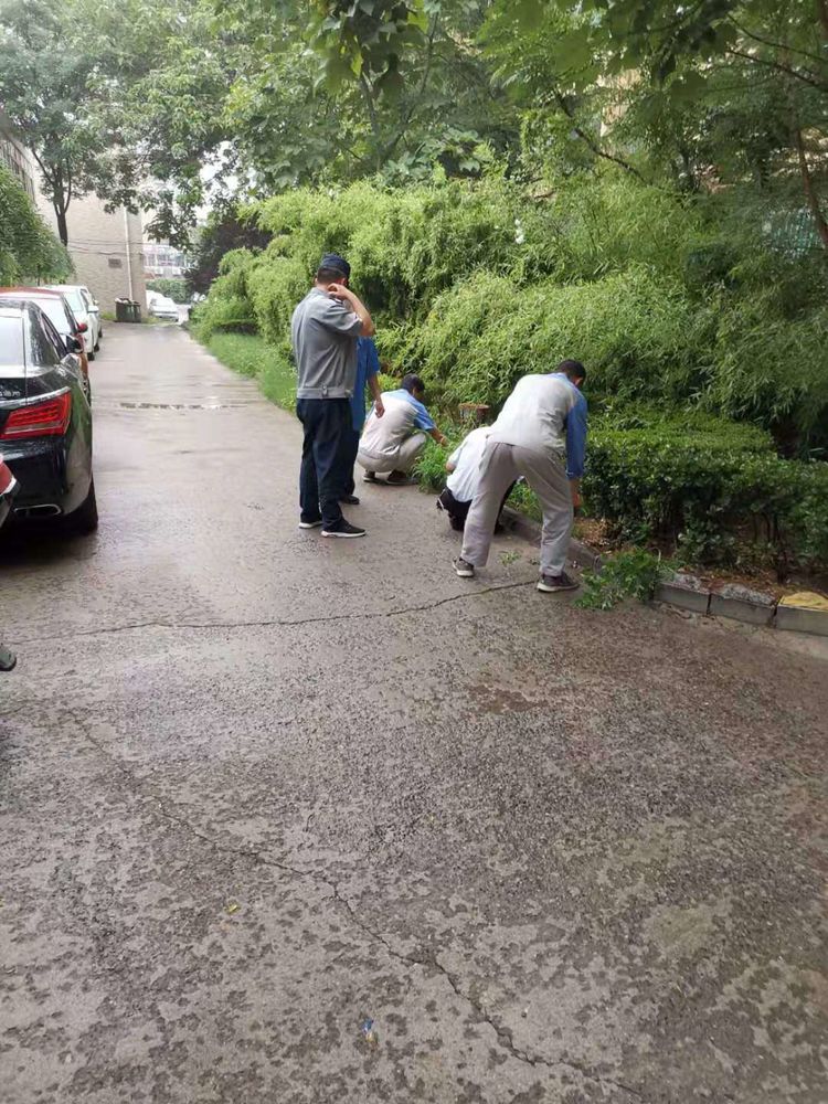 姚家街道12345热线受理跑出“加速度” 日均办结热线事项100余件