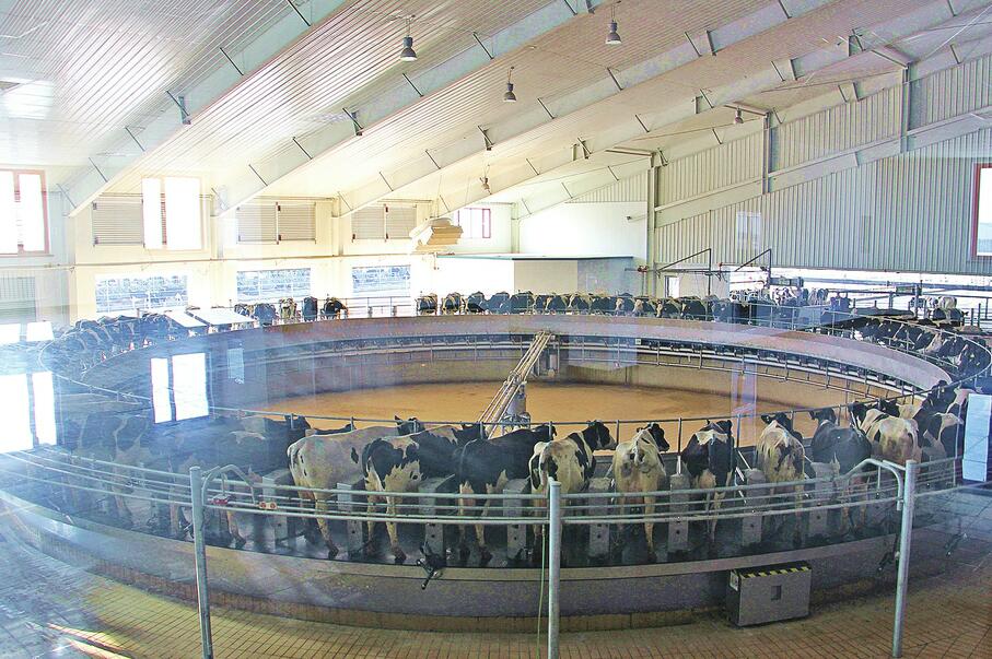 招商加速跑 产业蓄力量