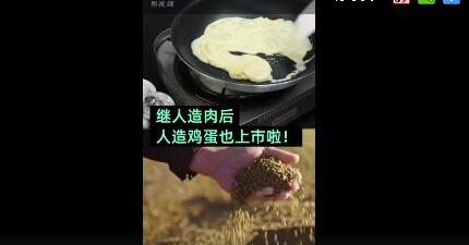 美国开售人造鸡蛋什么情况?怎么一回事?终于真相了,人造鸡蛋以绿豆为原料