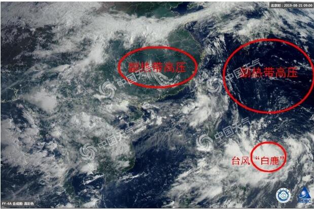 台风实时路径发布系统:11号台风白鹿最新消息 “白鹿”前世是台风“海燕”
