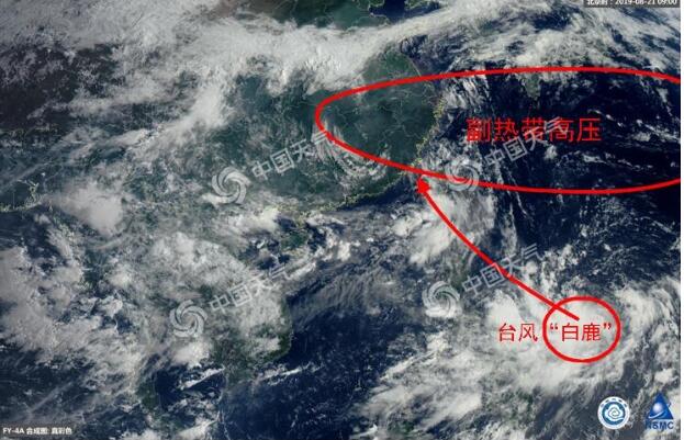 台风实时路径发布系统:11号台风白鹿最新消息 “白鹿”前世是台风“海燕”
