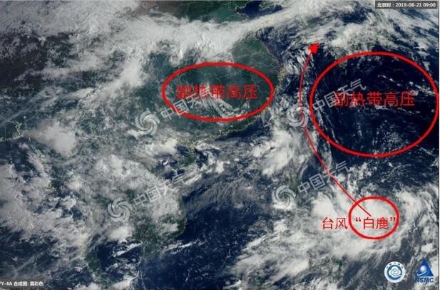 台风实时路径发布系统:11号台风白鹿最新消息 “白鹿”前世是台风“海燕”