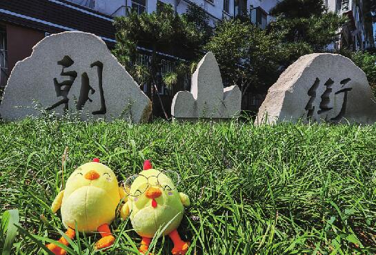 跟着“黄漂亮”打卡见证城市之变