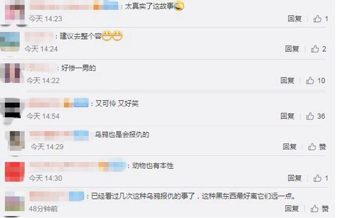 太惨了!男子遭乌鸦追3年是什么情况?背后真相始末情况如何