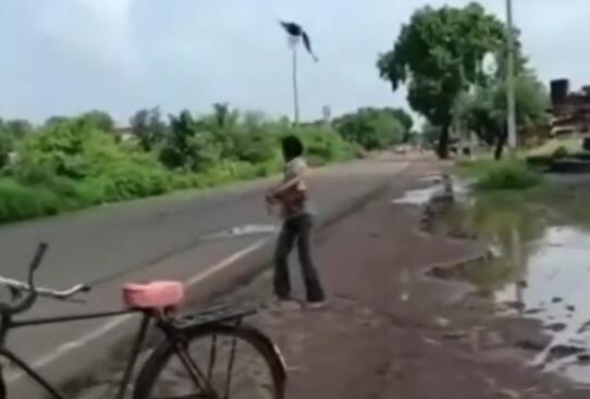 太惨了!男子遭乌鸦追3年是什么情况?背后真相始末情况如何