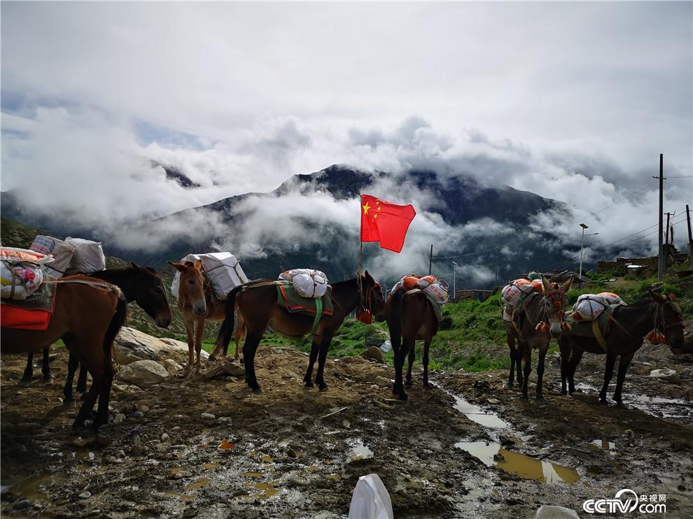 尼泊尔驮队准备出发。（何川 摄）