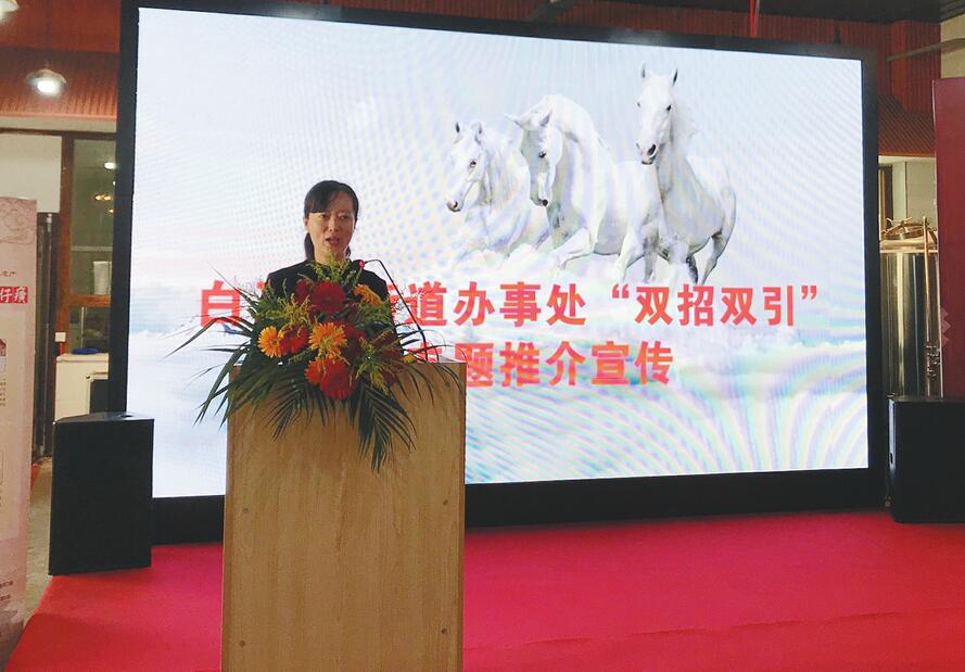 推介市中资源 展示“白马形象” 白马山街道筑好良巢引凤栖