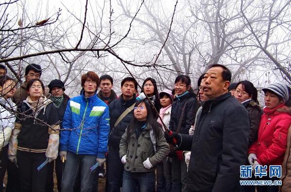 凝心铸师魂 立德育新人——以习近平同志为核心的党中央关心教师队伍建设纪实