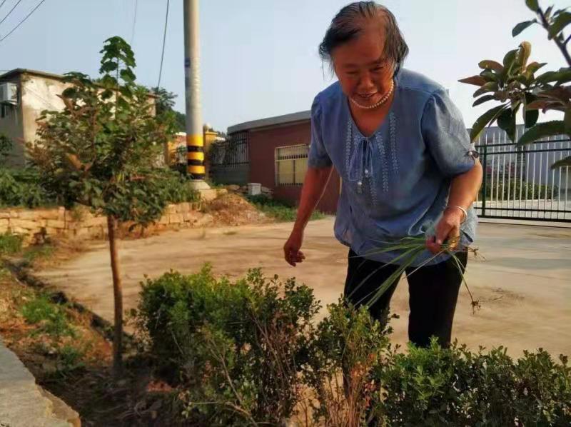 [温暖泉城]16年照顾婆婆感染儿媳 一家两代媳妇孝顺接力