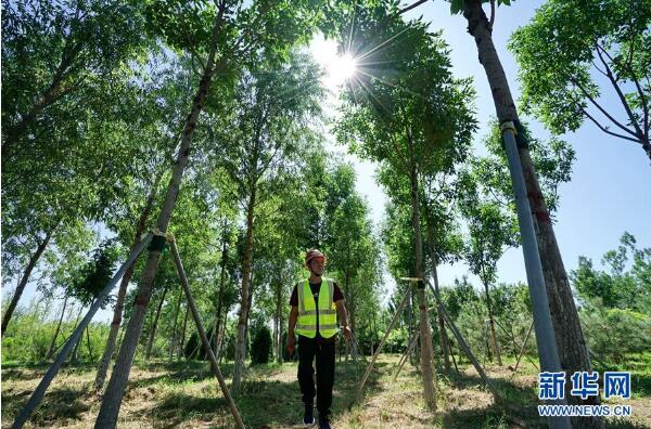 雄安新区：锚定高质量发展 奋力书写新时代答卷